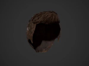 Male Hair Cards Style 2 - Short Straight 1 3D Model