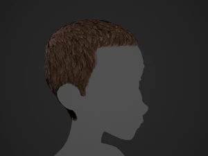Male Hair Cards Style 3 - Short Hair Flat 3D Model