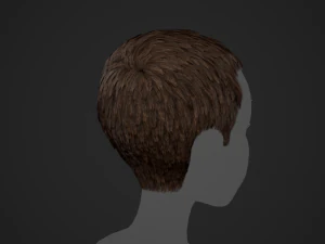 Male Hair Cards Style 3 - Short Hair Flat 3D Model