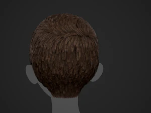 Male Hair Cards Style 3 - Short Hair Flat 3D Model