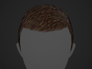 Male Hair Cards Style 3 - Short Hair Flat 3D Model
