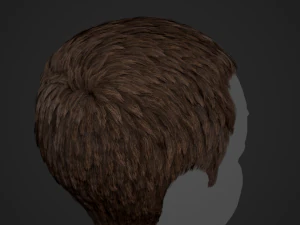 Male Hair Cards Style 3 - Short Hair Flat 3D Model
