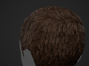Male Hair Cards Style 3 - Short Hair Flat 3D Model