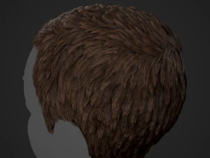 Male Hair Cards Style 3 - Short Hair Flat 3D Model