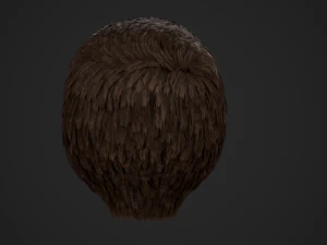 Male Hair Cards Style 3 - Short Hair Flat 3D Model