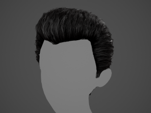 Male Hair Cards Style 4 -Quiff Modelo 3D