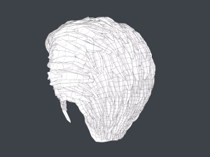 Male Hair Cards Style 4 -Quiff Modelo 3D