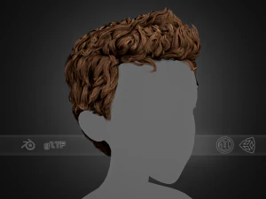 男性のヘアカード スタイル 5 - ウェーブのかかった髪 3Dモデル