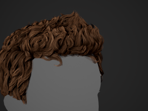 Male Hair Cards Style 5 - Wavy Hair Modelo 3D