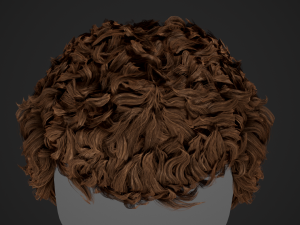 Male Hair Cards Style 5 - Wavy Hair Modelo 3D