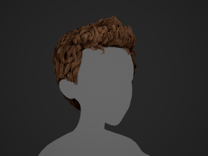 Male Hair Cards Style 5 - Wavy Hair Modelo 3D