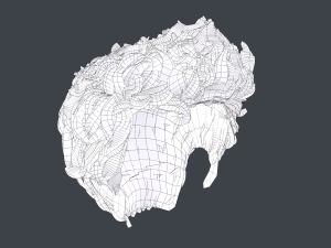 Male Hair Cards Style 5 - Wavy Hair Modelo 3D