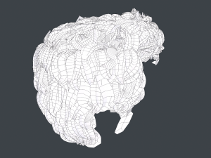 Male Hair Cards Style 5 - Wavy Hair Modelo 3D