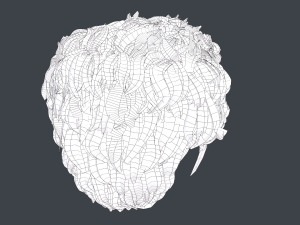 Male Hair Cards Style 5 - Wavy Hair Modelo 3D