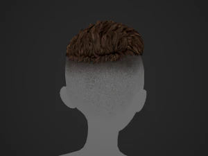 Male Hair Cards Style 6 - Short Straight 2 3D Model