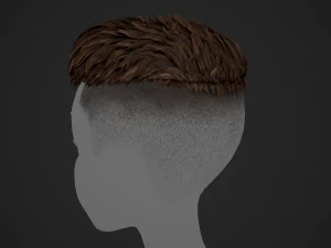 Male Hair Cards Style 6 - Short Straight 2 3D Model