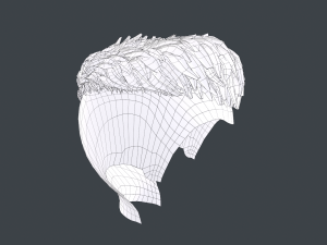 Male Hair Cards Style 6 - Short Straight 2 3D Model