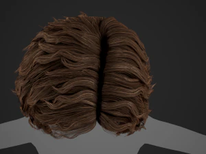 Male Hair Cards Style 7 - Curly Hair 1 3D Model