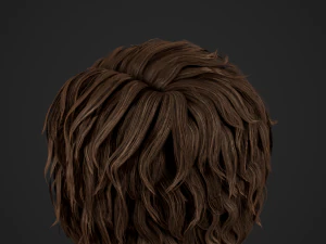 Male Hair Cards Style 7 - Curly Hair 1 3D Model