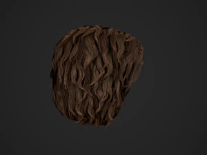 Male Hair Cards Style 7 - Curly Hair 1 3D Model