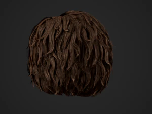 Male Hair Cards Style 7 - Curly Hair 1 3D Model