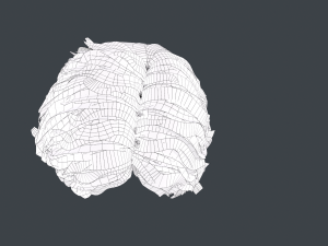 Male Hair Cards Style 7 - Curly Hair 1 3D Model