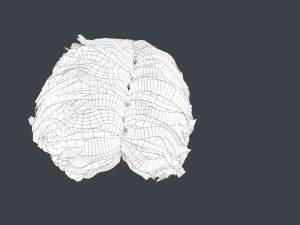 Male Hair Cards Style 7 - Curly Hair 1 3D Model