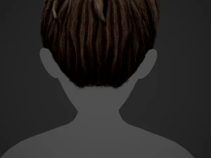 Male Hair Cards Style 8 - Dreadlocks 1 3D Model