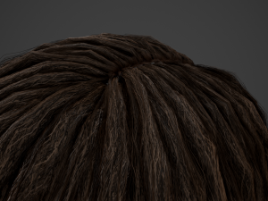 Male Hair Cards Style 10 - Dreadlocks 3 3D Модель