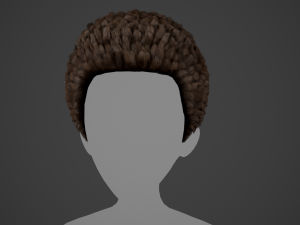 Male Hair Cards Style 11 - Frizzy Hair Modelo 3D
