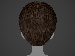 Male Hair Cards Style 11 - Frizzy Hair Modelo 3D