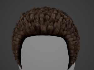 Male Hair Cards Style 11 - Frizzy Hair Modelo 3D