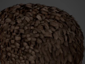 Male Hair Cards Style 11 - Frizzy Hair 3D Model