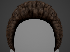 Male Hair Cards Style 11 - Frizzy Hair Modelo 3D
