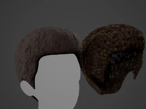 Male Hair Cards Style 11 - Frizzy Hair 3D Model
