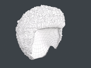Male Hair Cards Style 11 - Frizzy Hair Modelo 3D