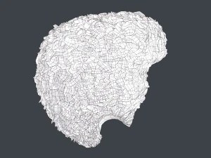 Male Hair Cards Style 11 - Frizzy Hair 3D Model