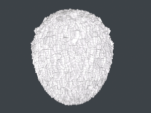 Male Hair Cards Style 11 - Frizzy Hair Modelo 3D