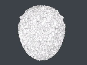 Male Hair Cards Style 11 - Frizzy Hair 3D Model