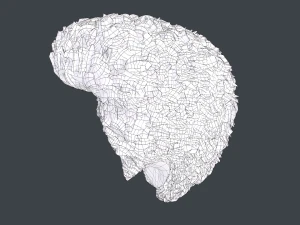 Male Hair Cards Style 11 - Frizzy Hair 3D Model