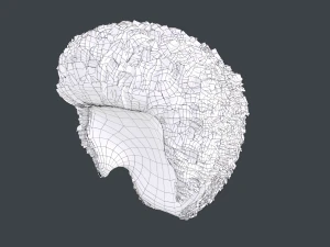 Male Hair Cards Style 11 - Frizzy Hair 3D Model