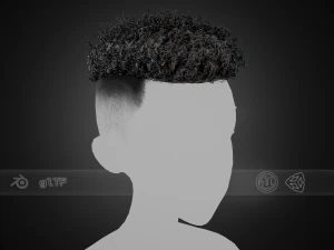 Cart&otilde;es de Cabelo Masculino Estilo 12 - Cabelos Cacheados 2 Modelo 3D