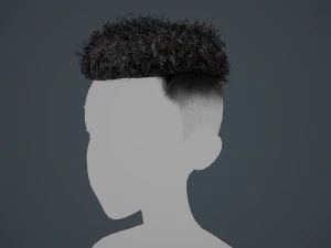 Tarjetas de cabello masculino Estilo 12 - Cabello rizado 2 Modelo 3D