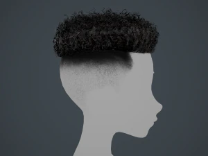 Tarjetas de cabello masculino Estilo 12 - Cabello rizado 2 Modelo 3D