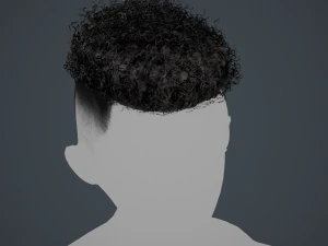 Tarjetas de cabello masculino Estilo 12 - Cabello rizado 2 Modelo 3D