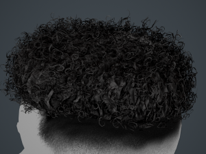 Male Hair Cards Style 12 - Curly Hair 2 3D Model