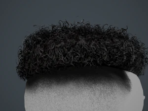 Tarjetas de cabello masculino Estilo 12 - Cabello rizado 2 Modelo 3D