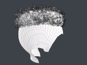 Tarjetas de cabello masculino Estilo 12 - Cabello rizado 2 Modelo 3D