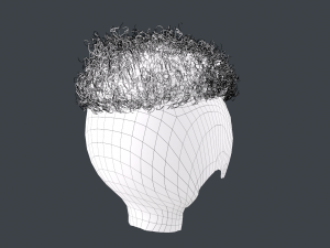 Male Hair Cards Style 12 - Curly Hair 2 3D Model
