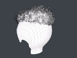 Male Hair Cards Style 12 - Curly Hair 2 3D Model